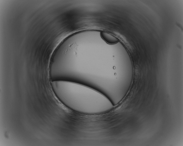 X0000093461236200710120943