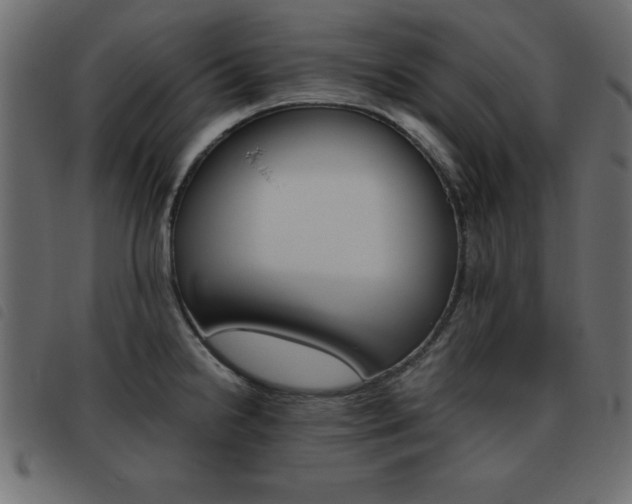 X0000093461238200710120943