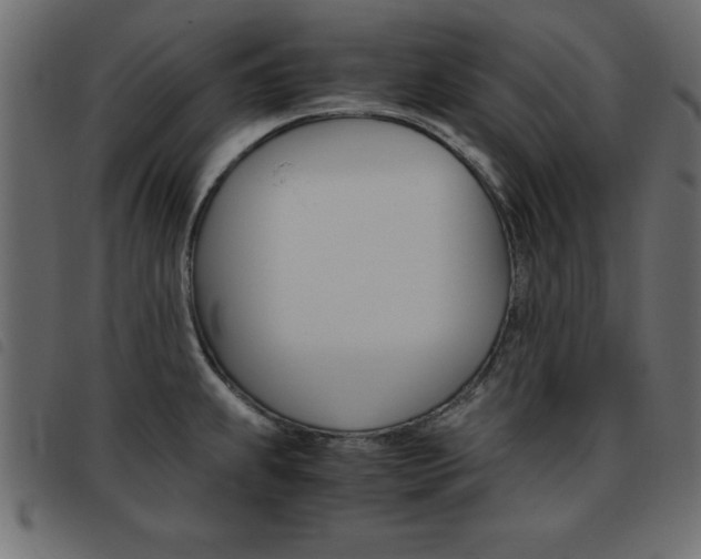 X0000093461239200710120943