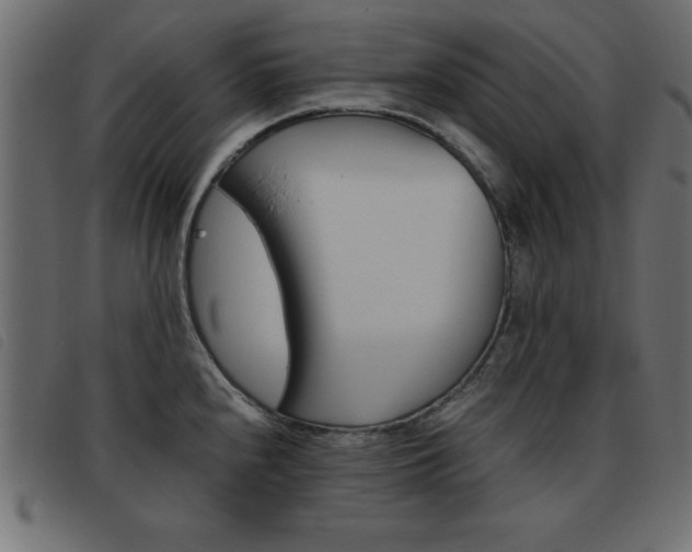 X0000093461240200710120943