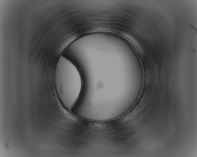 X0000093461241200710120943