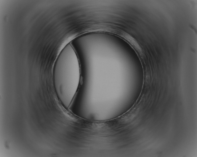 X0000093461242200710120943