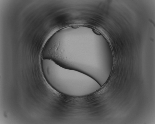 X0000093461243200710120943