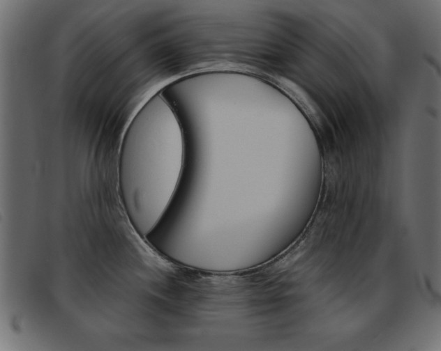 X0000093461244200710120943