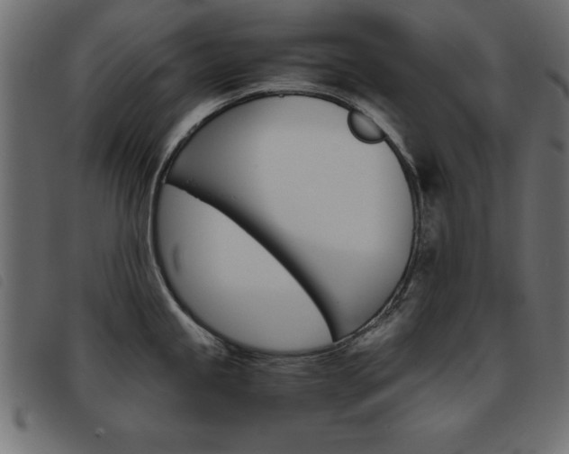 X0000093461245200710120943