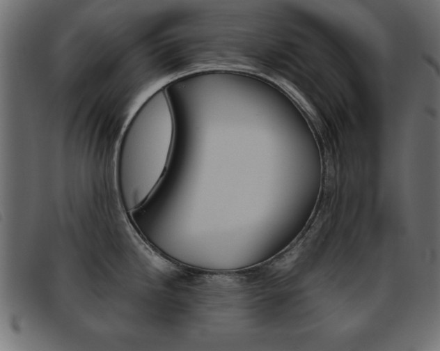 X0000093461246200710120943