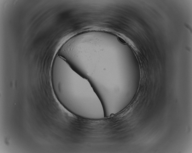 X0000093461247200710120943