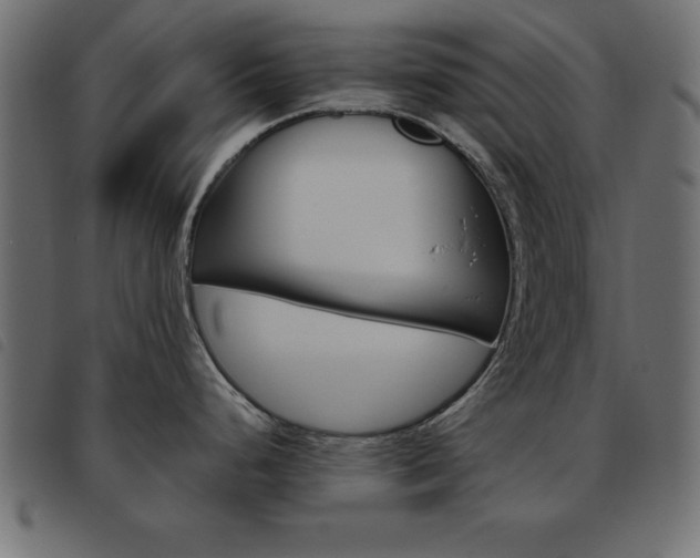 X0000093461248200710120943