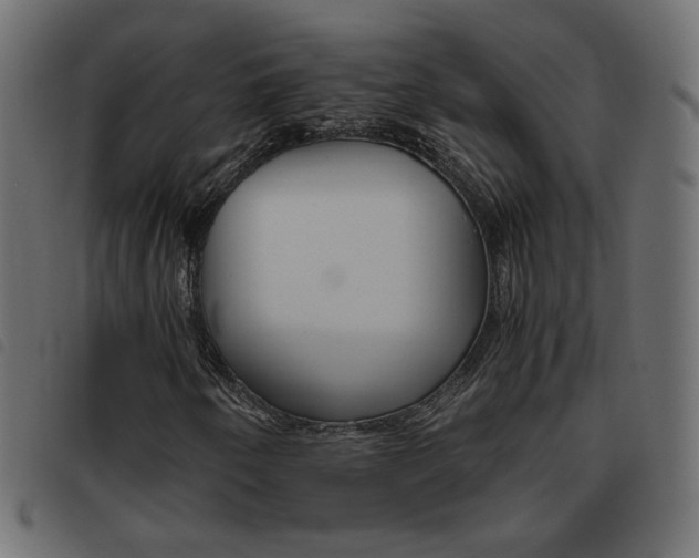 X0000093461250200710120942