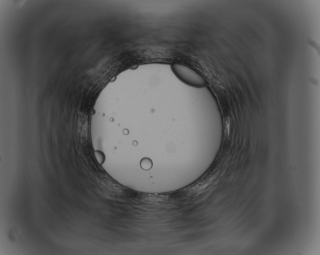 X0000093461251200710120942
