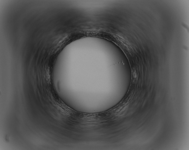 X0000093461252200710120942