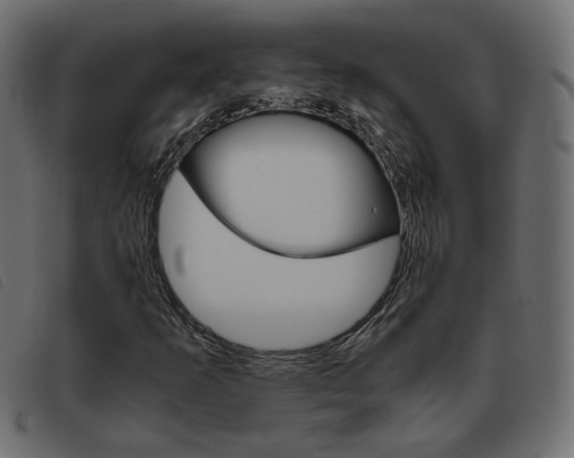 X0000093461253200710120942