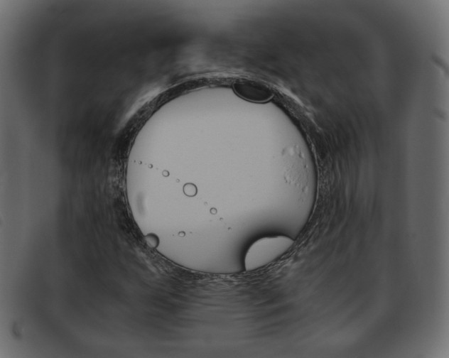 X0000093461255200710120942