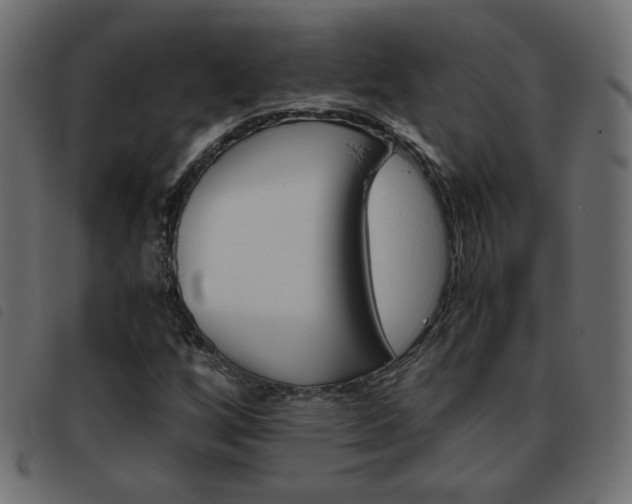 X0000093461256200710120942
