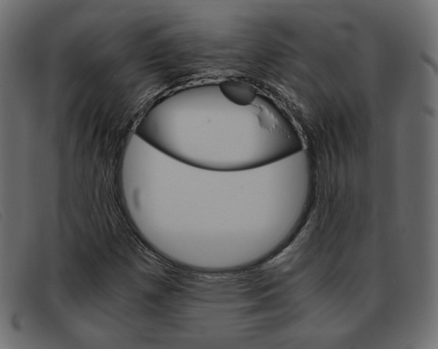 X0000093461257200710120942