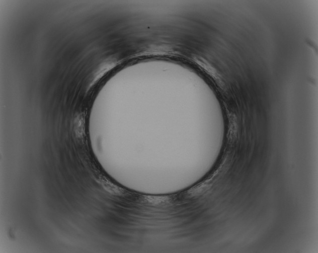X0000093461258200710120942
