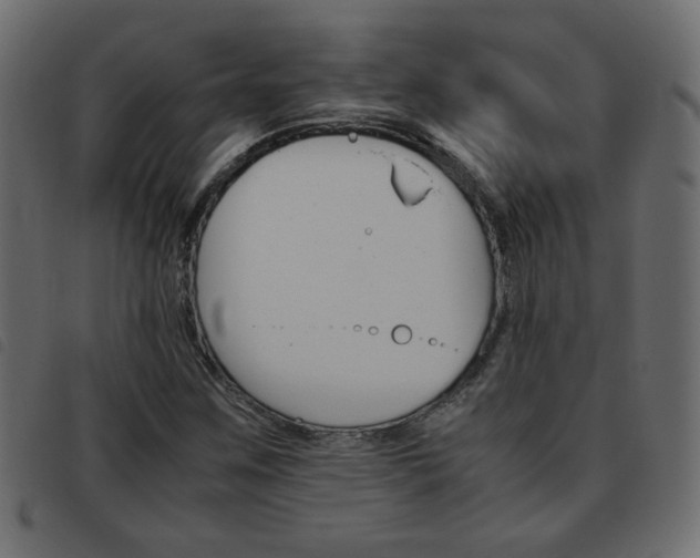 X0000093461259200710120942