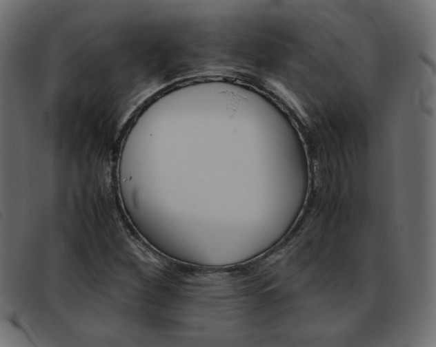X0000093461260200710120942
