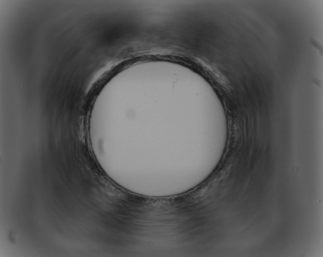 X0000093461262200710120942