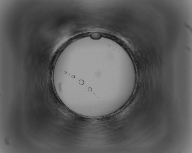 X0000093461263200710120942