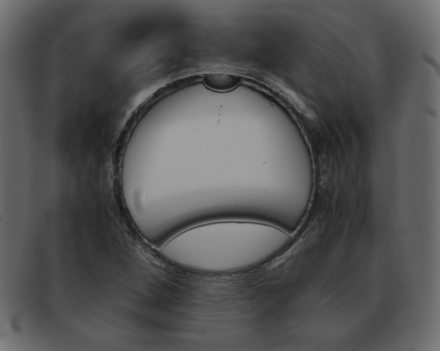 X0000093461264200710120942