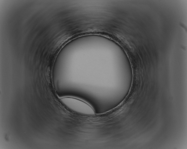 X0000093461265200710120942