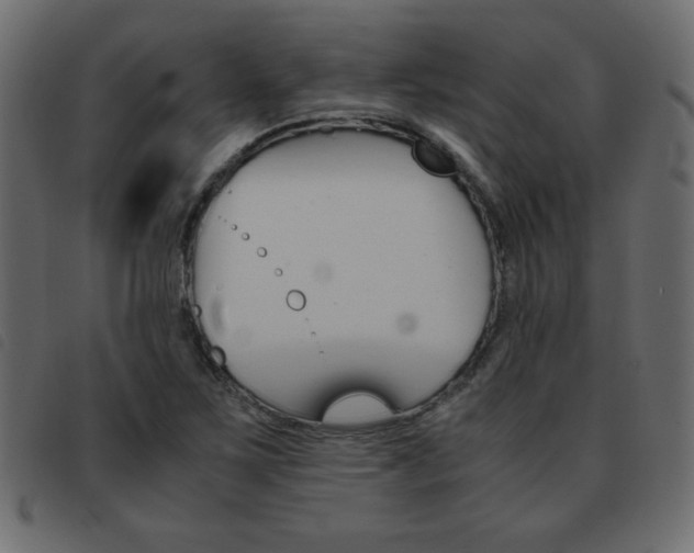 X0000093461267200710120942