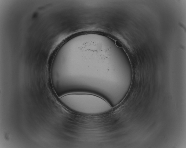 X0000093461270200710120942
