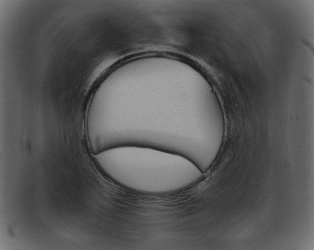 X0000093461271200710120942