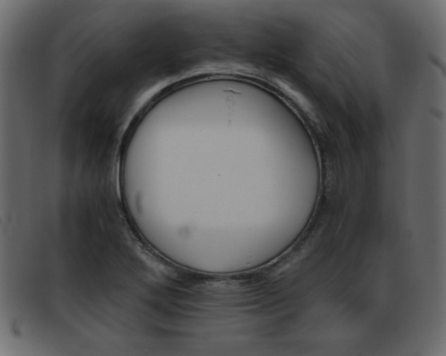 X0000093461272200710120942