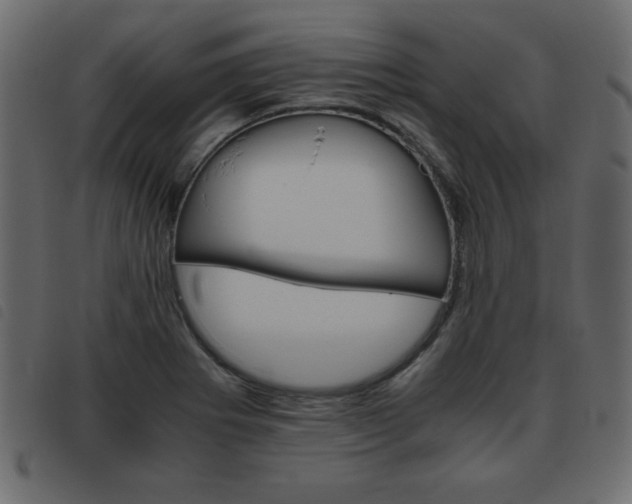 X0000093461273200710120942
