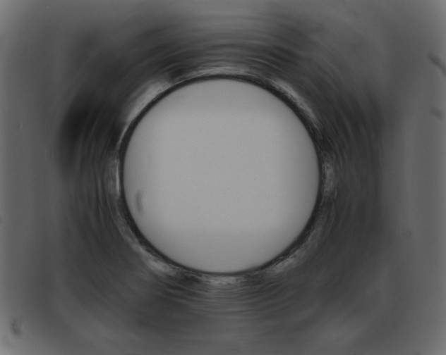 X0000093461274200710120942