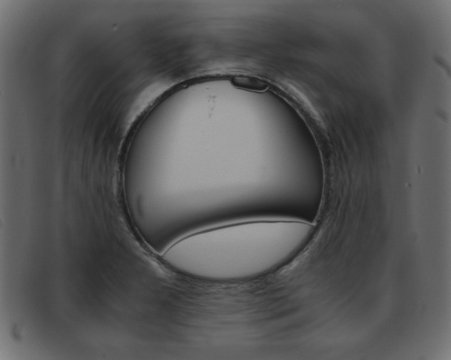 X0000093461277200710120942