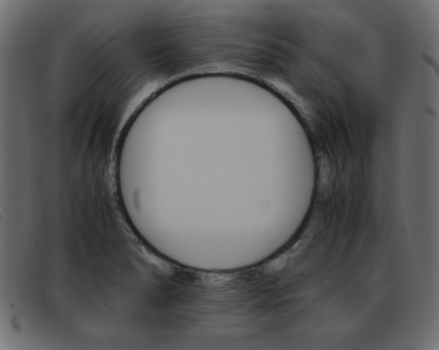 X0000093461278200710120942