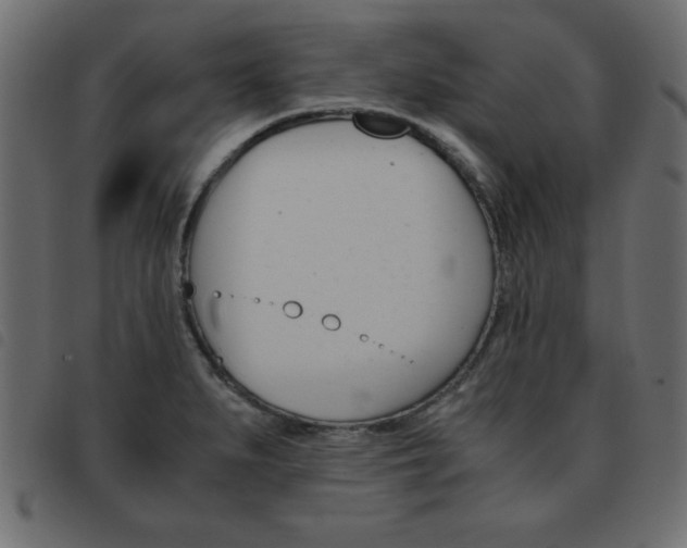 X0000093461279200710120942