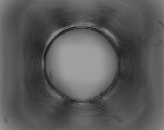 X0000093461280200710120942
