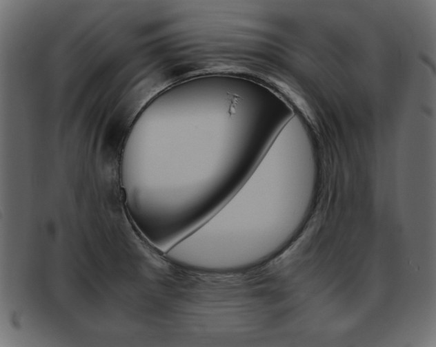 X0000093461281200710120942