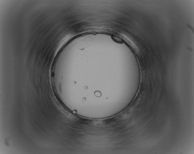X0000093461283200710120942