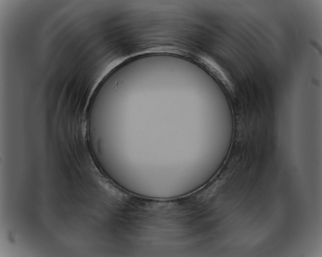 X0000093461284200710120942