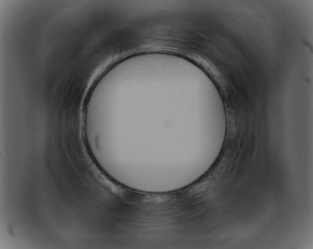 X0000093461286200710120942