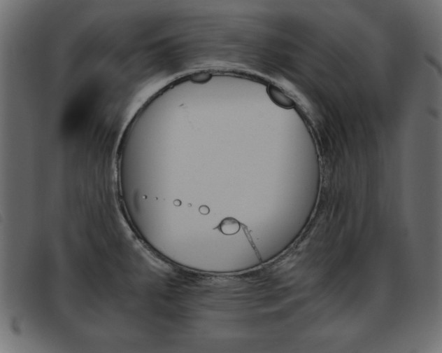 X0000093461287200710120942