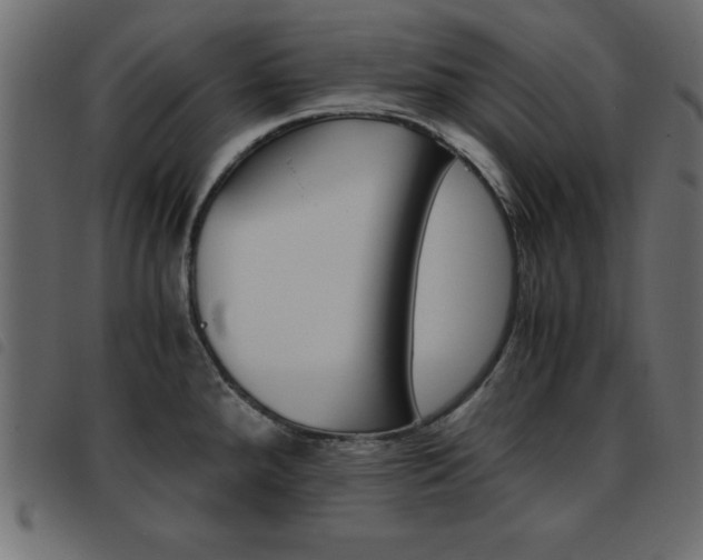 X0000093461288200710120942