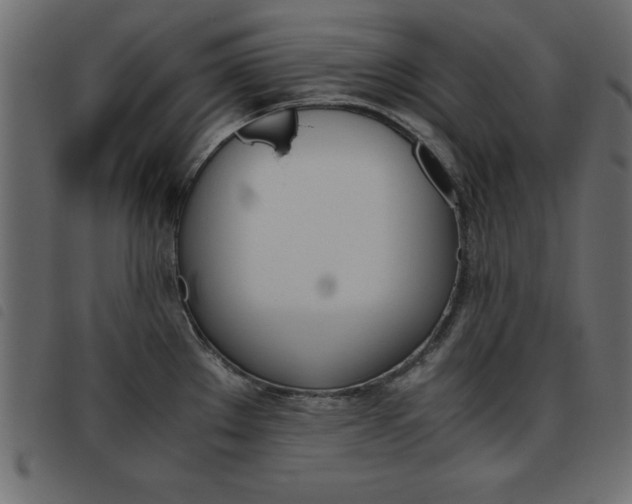 X0000093461289200710120942