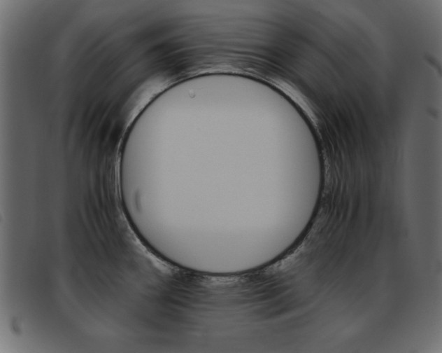 X0000093461290200710120942