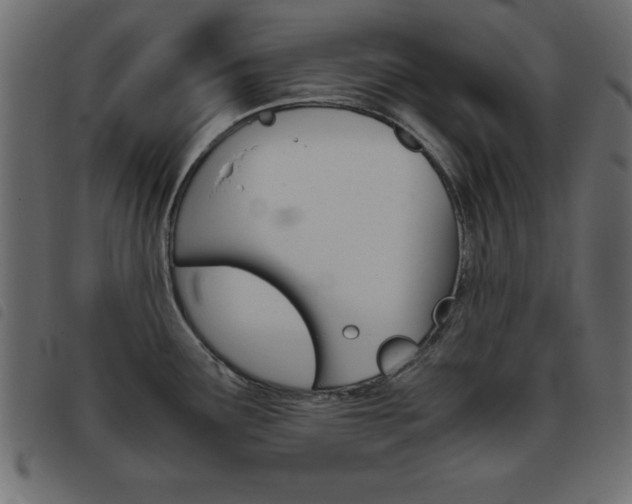 X0000093461291200710120942