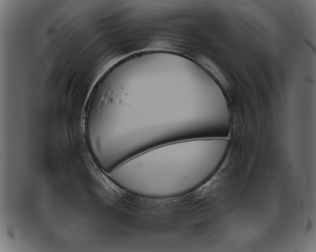X0000093461292200710120942