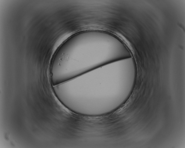 X0000093461293200710120942