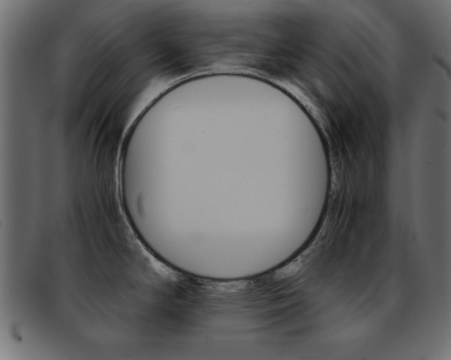 X0000093461294200710120942