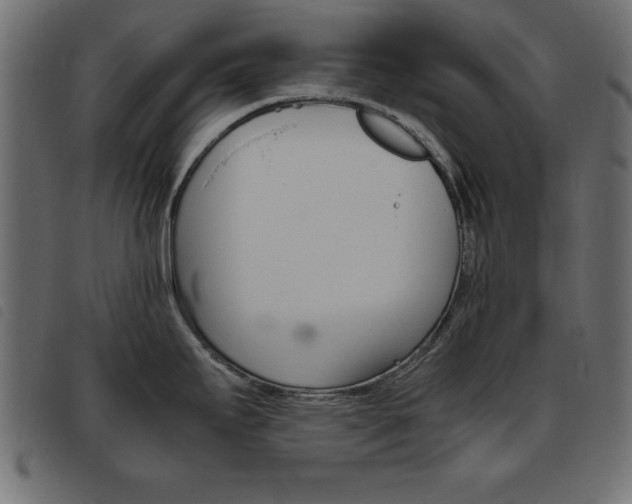 X0000093461295200710120942