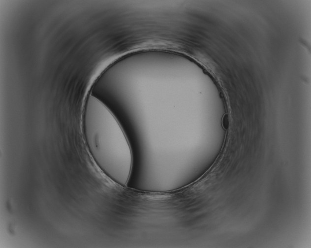 X0000093461296200710120942